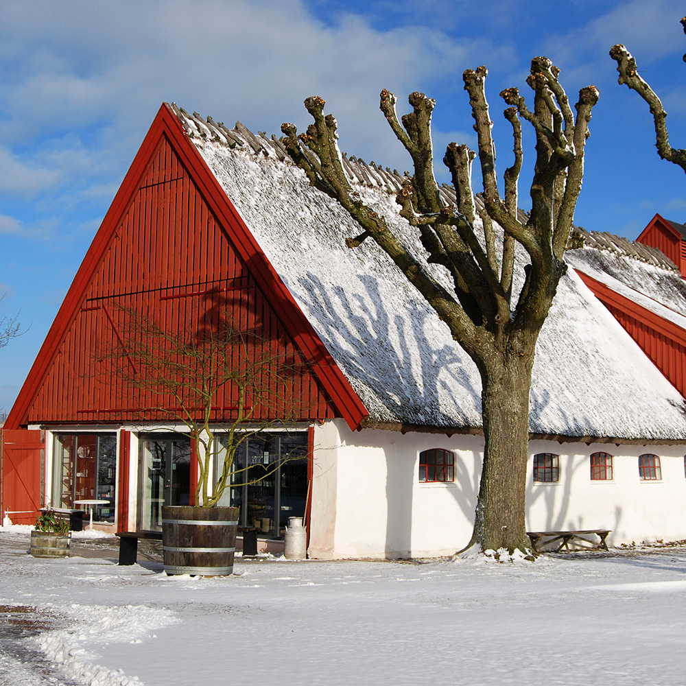 Professional Study Tours and Visits (Farms, Vineries, Breweries)