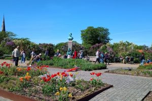 IMG_20240512_112308661
