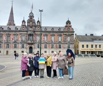 One-Day Copenhagen – Malmö Tour