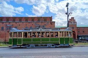 IMG_20250810_130805566-EDIT